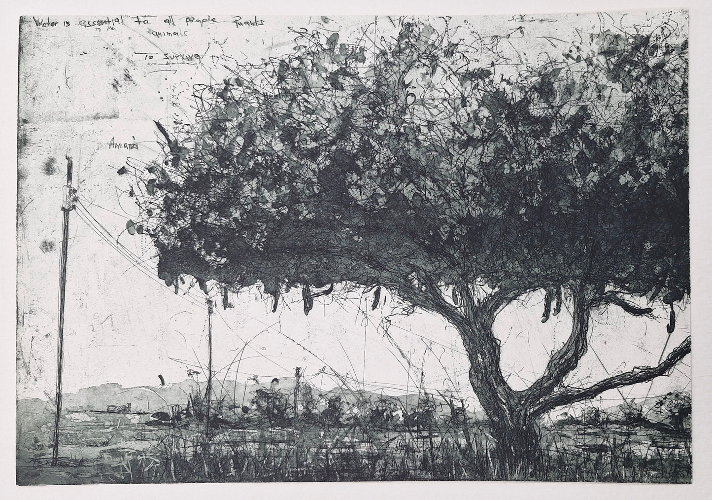 Seed of Strategy by Nkosinathi Ndlandla from the At the Threshold Portfolio