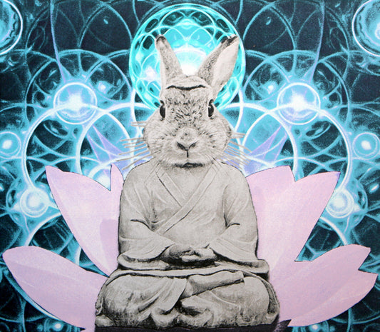 Buddha Bunny - Karen Fiorito