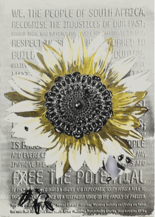 "Poli(tics)" by Heidi Mielke from the At the Threshold Portfolio