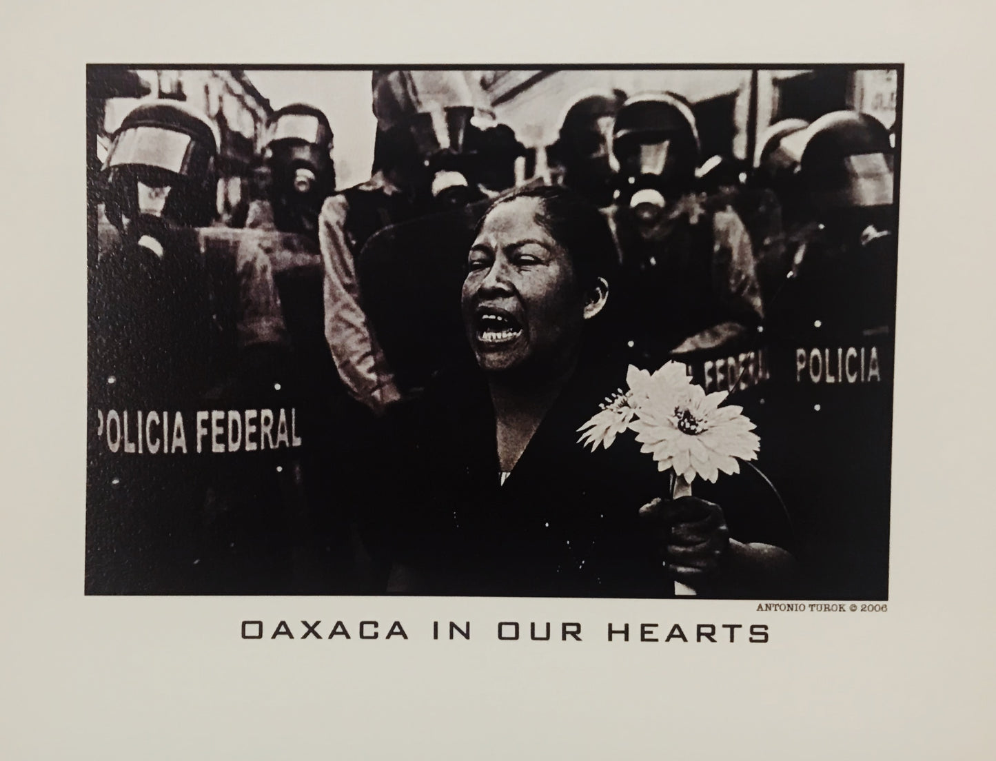 Oaxaca in our Hearts (Photograph by Antonio Turok) Card