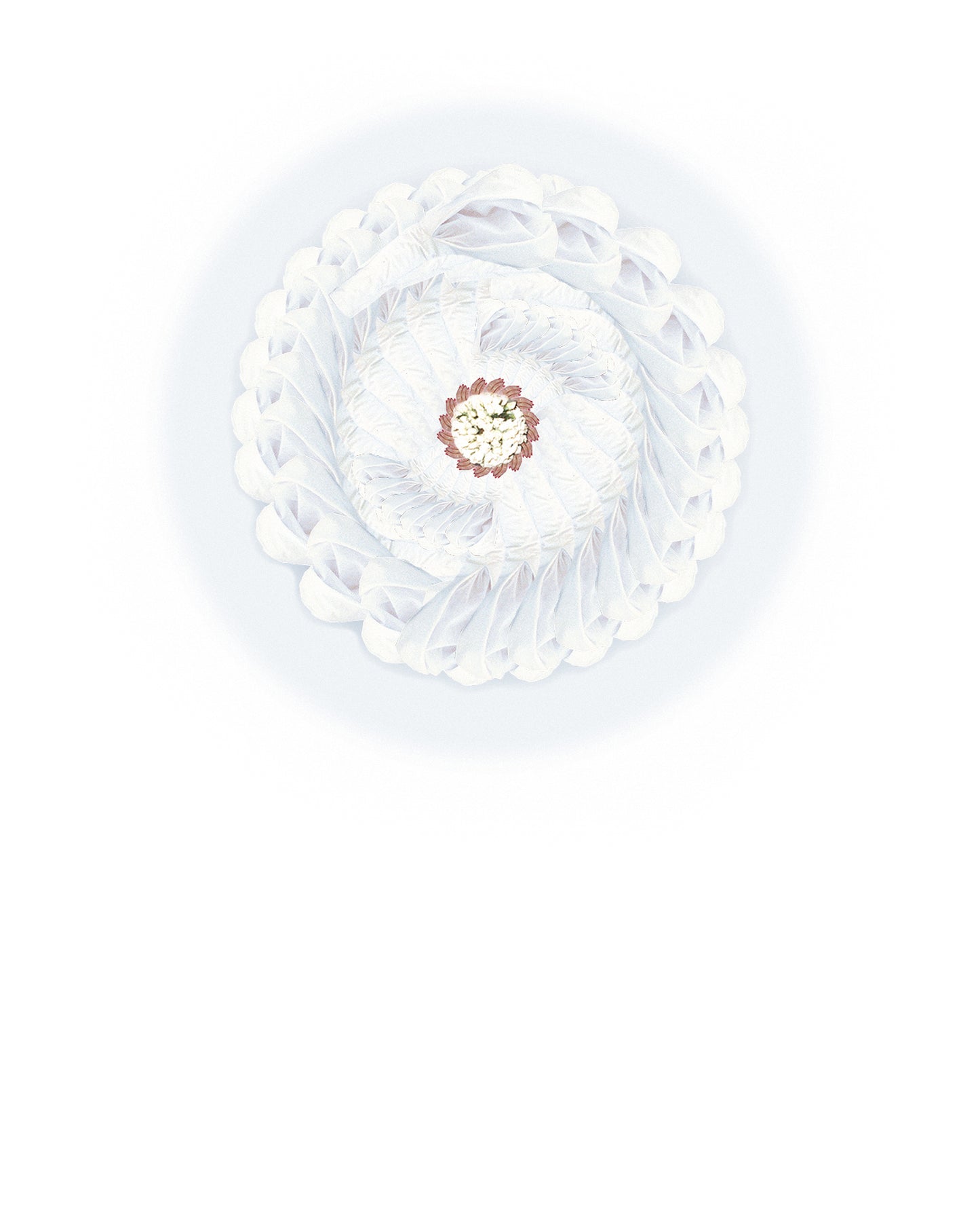 "Mercedes," Nymphas Dissolutio Print - Mercedes Gertz