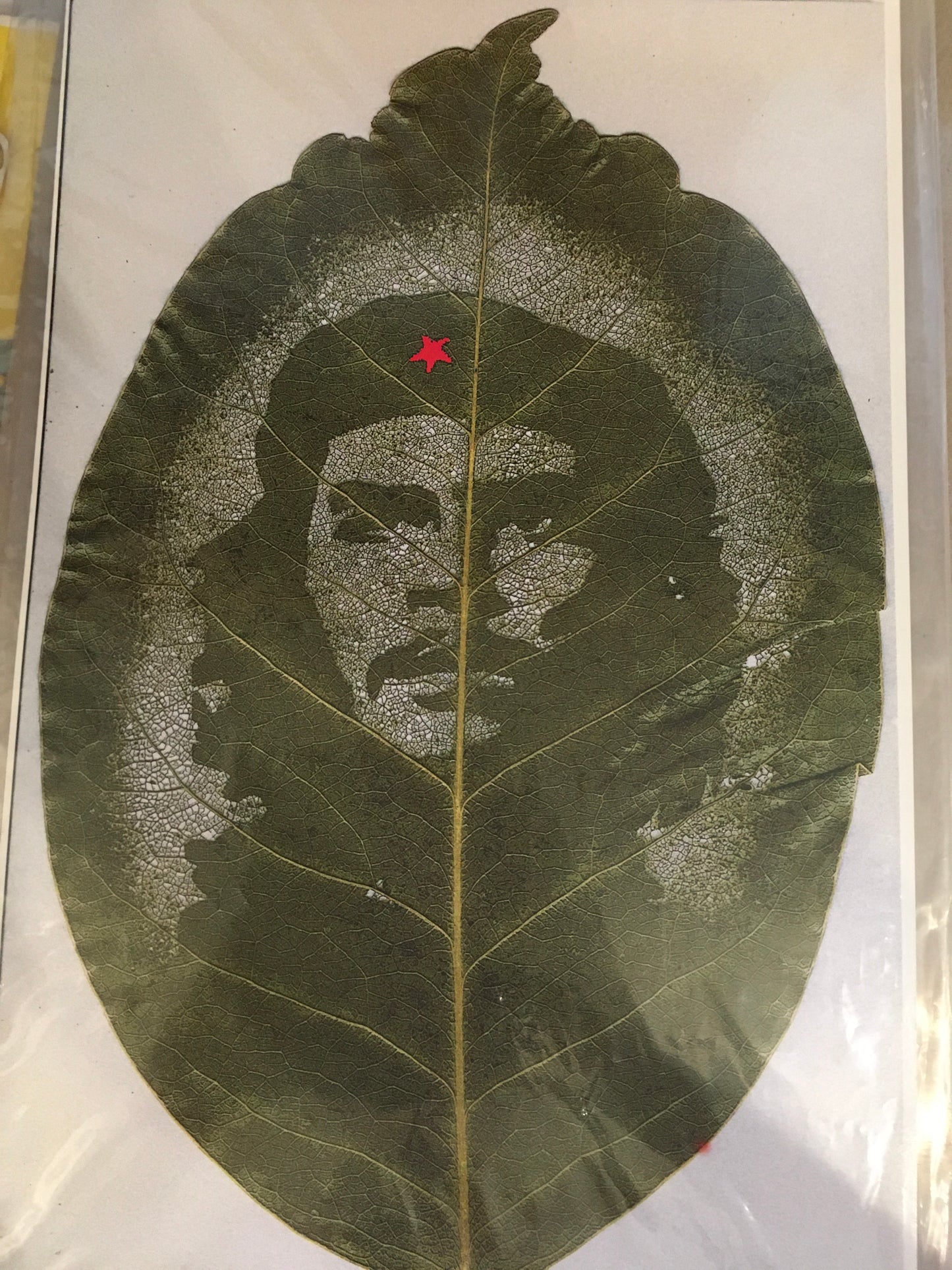 Political Leaf