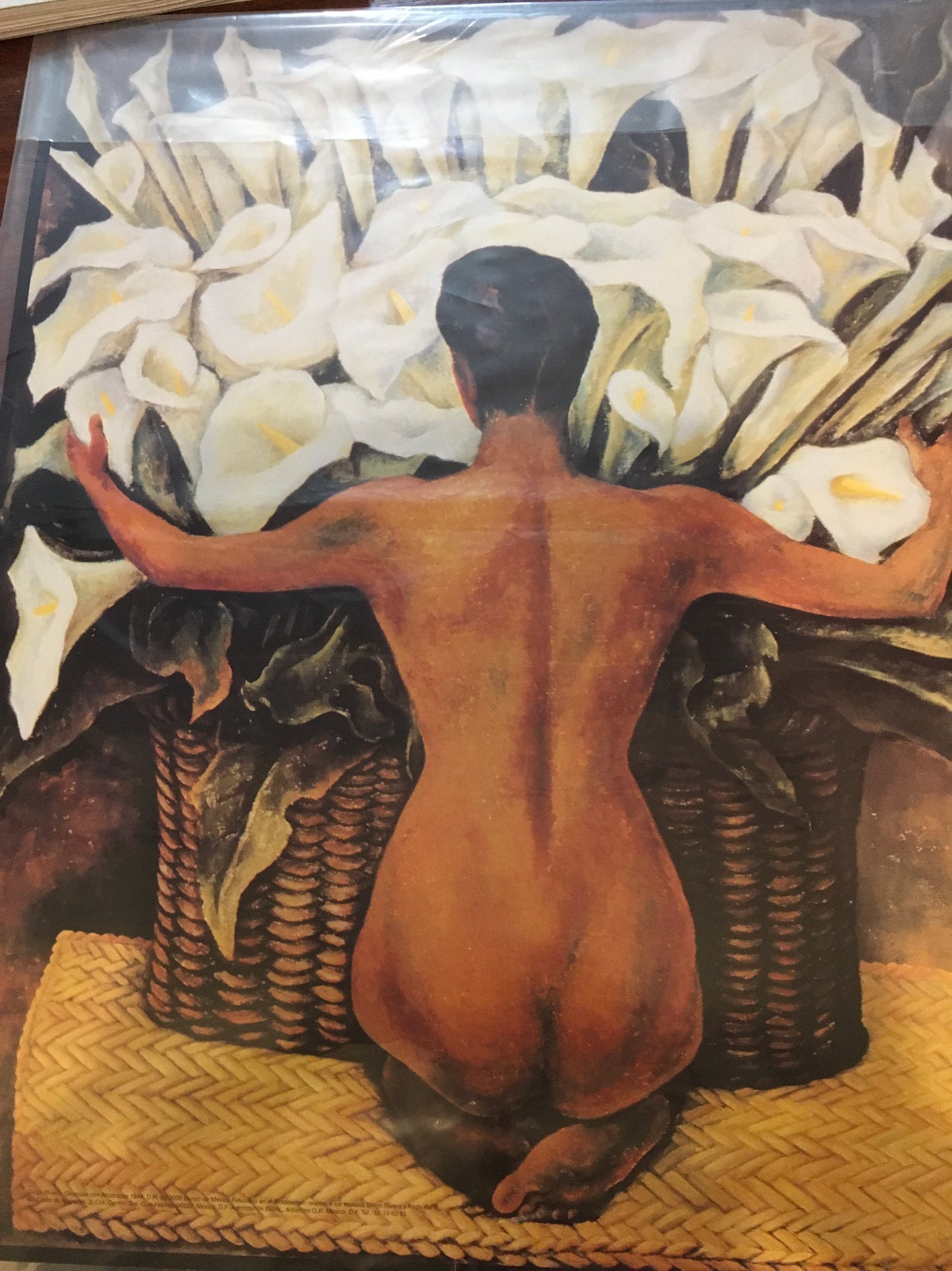 Diego Rivera Prints