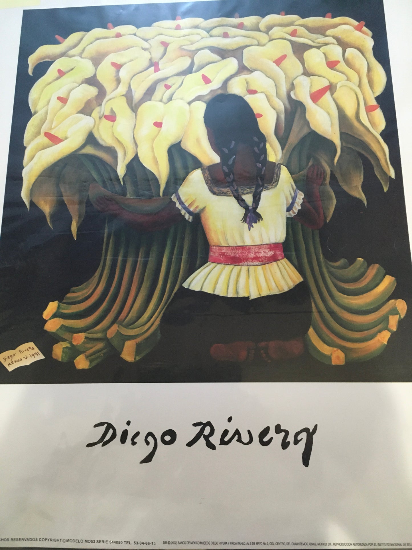 Diego Rivera Prints