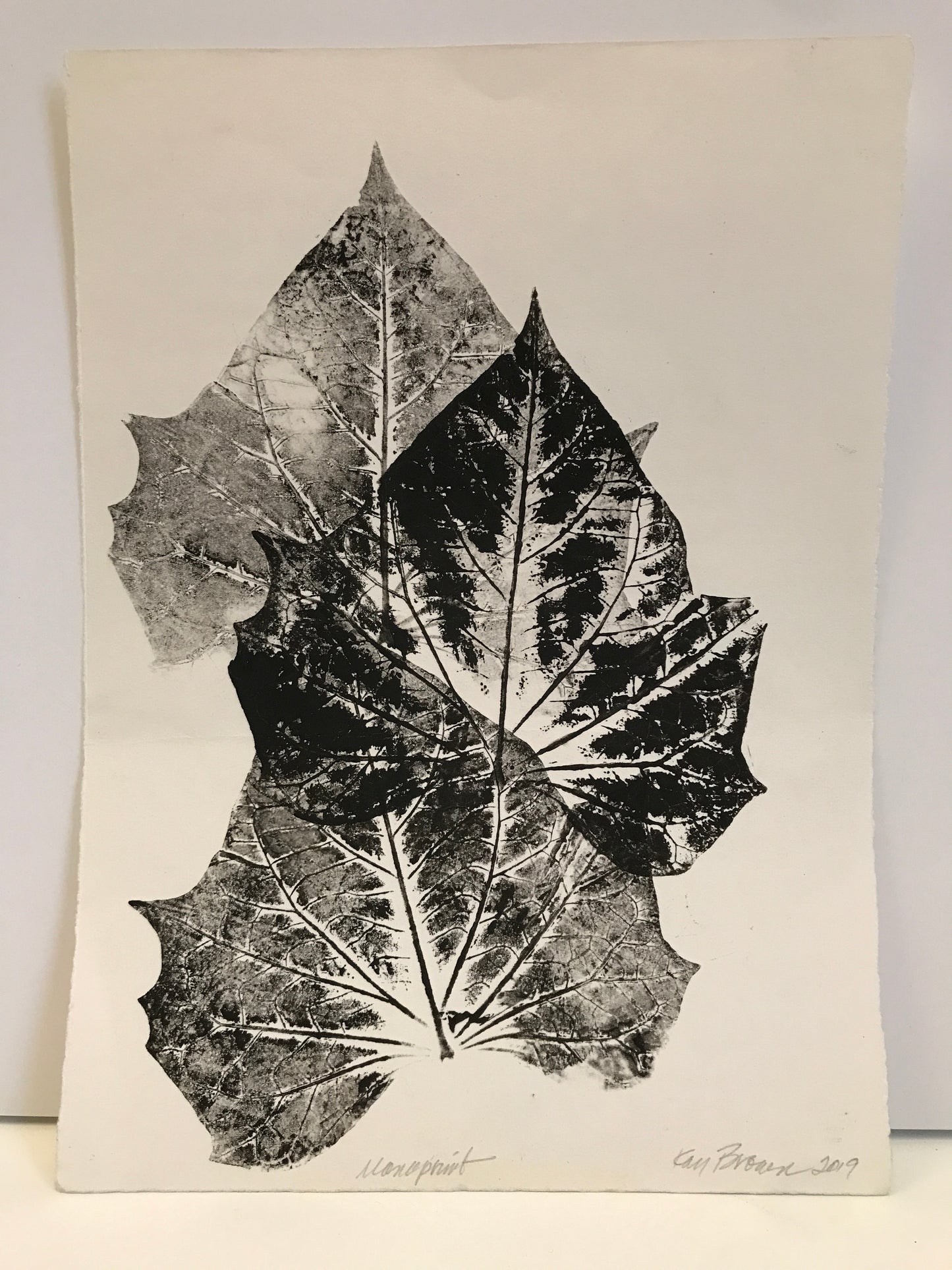 Leaves, Monoprint - Kay Brown